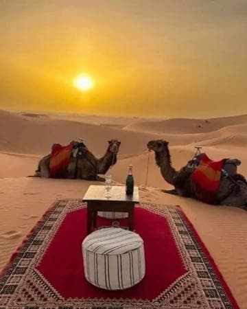 Marrakech to the Sahara by Car: 4×4 vs SUV — What You Actually Need